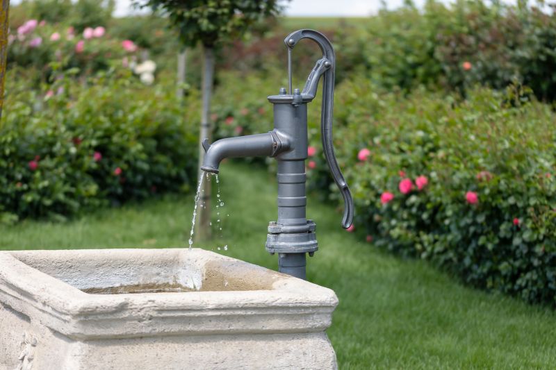 Hand Pump Repair in Carson City, NV